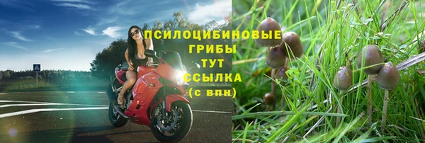 прущий лед Арсеньев